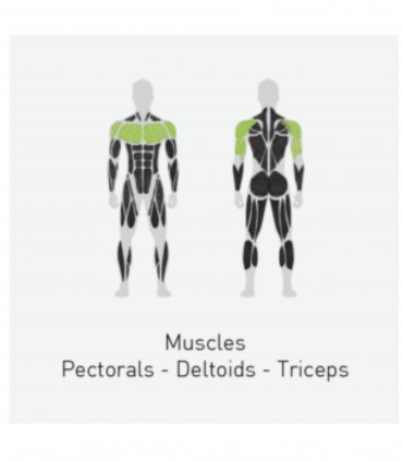 دستگاه پرس سینه کانالی - CANALI CHEST PRESS