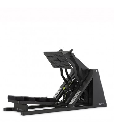 دستگاه پرس پا کانالی - CANALI LEG PRESS