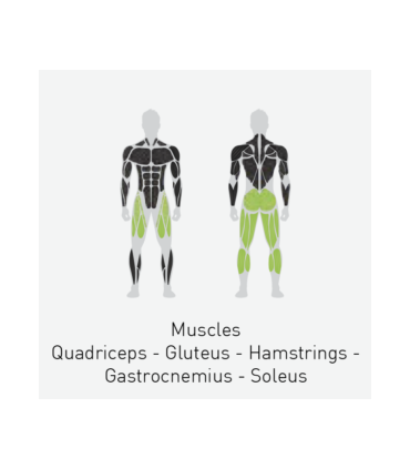 دستگاه پرس پا کانالی - CANALI LEG PRESS